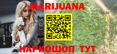 гашик Лесосибирск