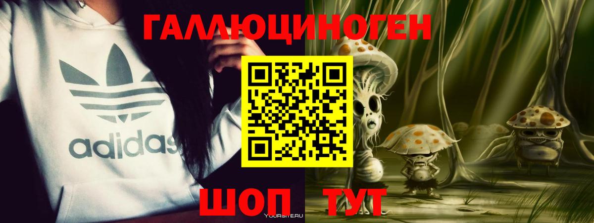 Псилоцибиновые грибы GOLDEN TEACHER  Галлюциногенные грибы GOLDEN TEACHER  Вход с VPN  Елец 